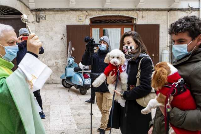 Bari, la "benedizione degli animali": un'antica tradizione nel segno di Sant'Antonio Abate 